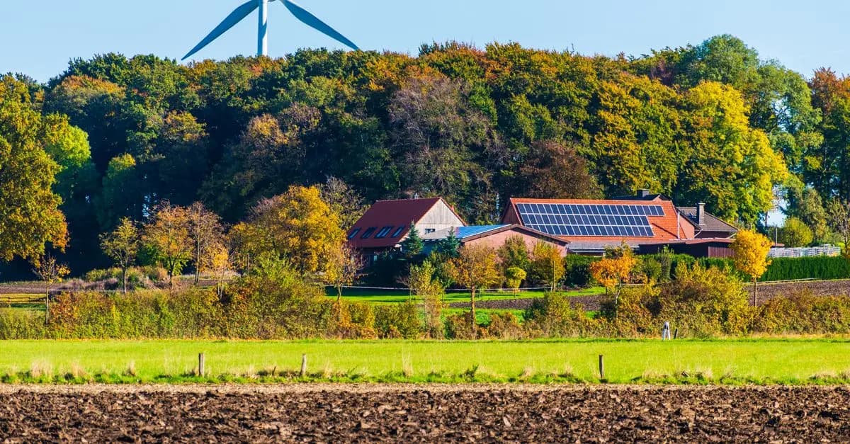 Panneaux solaires versus éoliennes : lequel choisir ?